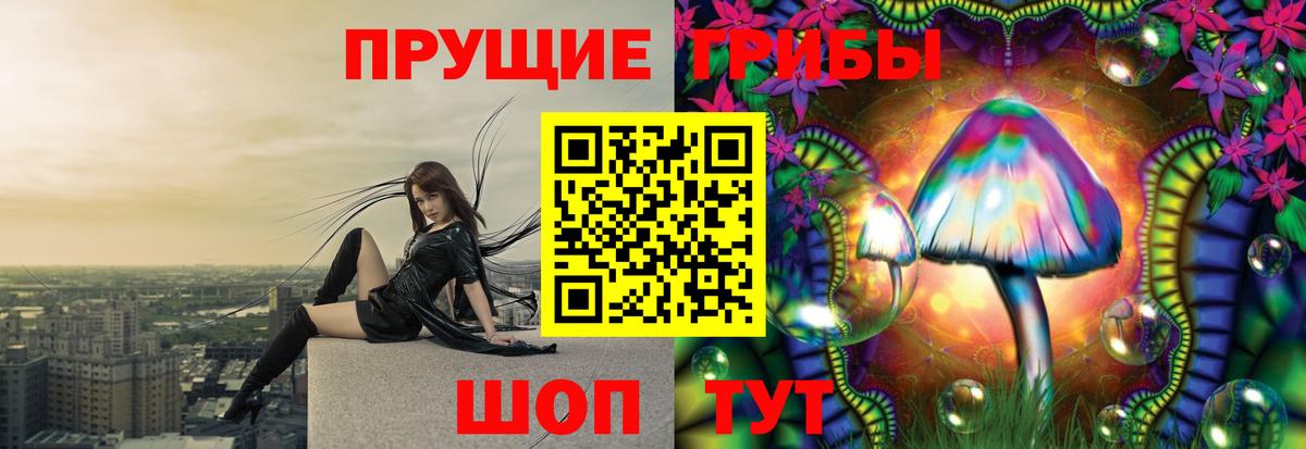 Галлюциногенные грибы Psilocybine cubensis  Вход с VPN  Аргун 