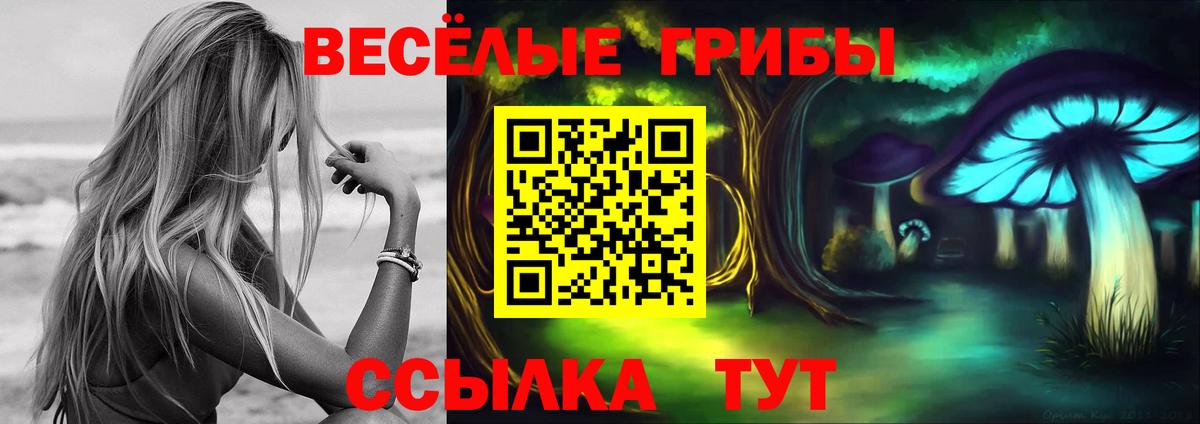 Псилоцибиновые грибы MAGIC MUSHROOMS Аргун